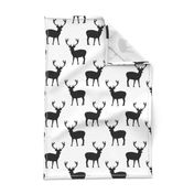 Black and white deer