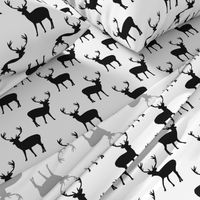 Black and white deer