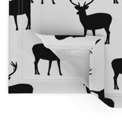 Black and white deer