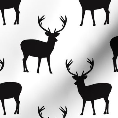 Black and white deer