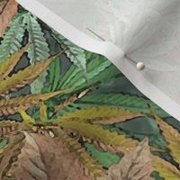 Forest Cannabis Camo
