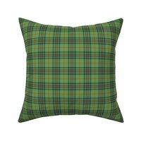 Olive and Forest Plaid