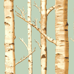 Birch Grove in Sunshine