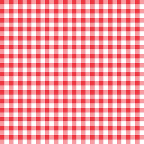 strawberry red and white gingham, 1/4" squares 