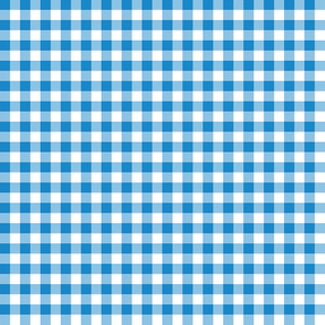 blue skies gingham, 1/4" squares 