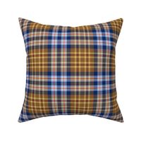 03043441 : tartan : spoonflower0020