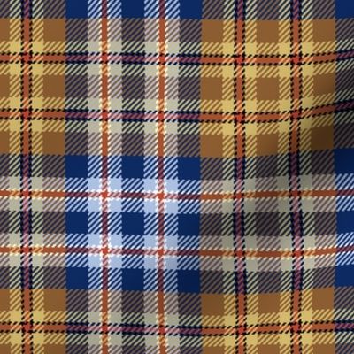 03043441 : tartan : spoonflower0020