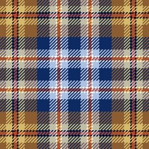 03043441 : tartan : spoonflower0020