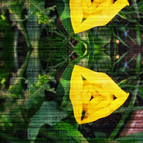 yellow_tulip_geometry