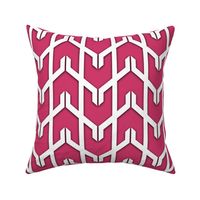 Modern Chevron in Fuchsia