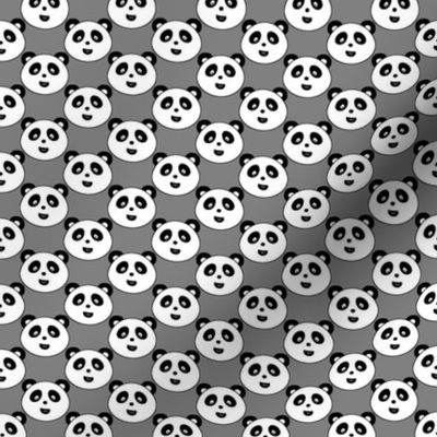 Panda Bears Small