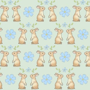 Cornflower Bunnies