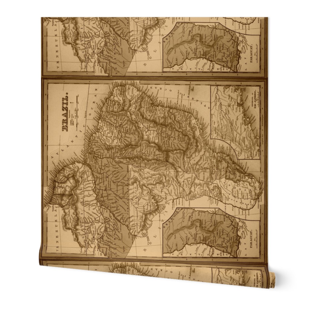 Brazil map in sepia, large (yard)