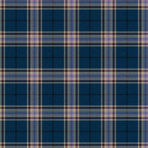 Starry Moonlight Plaid