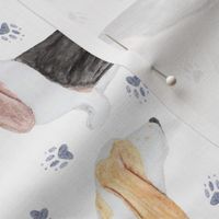 Watercolor Basset hounds and pawprints