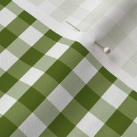 Green_Gingham_Checks