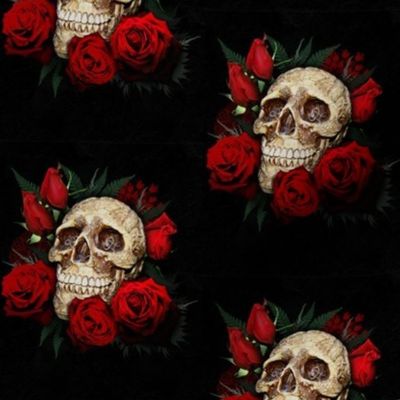 skulls and roses