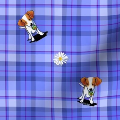 Jack Russell Terrier Plaid