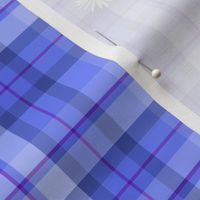 Jack Russell Terrier Plaid