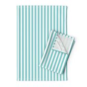 Aqua Stripes 1/2 Inch Vertical