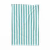 Aqua Stripes 1/2 Inch Vertical