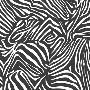 zebra