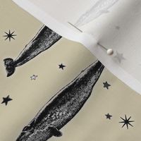 Vintage Star Whale, Black & White Stars on Cappuccino Cream