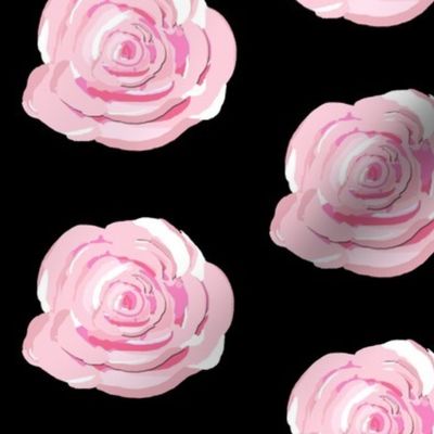 Pink Cabbage Roses on black background