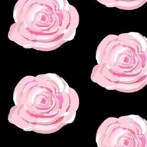 Pink Cabbage Roses on black background