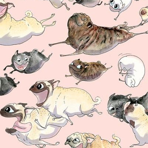 Pugs on the Move - pink
