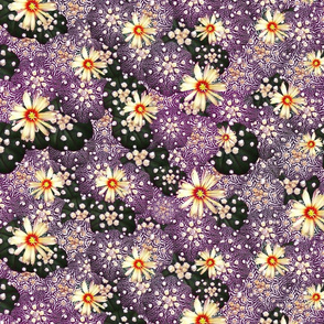 violet cacti