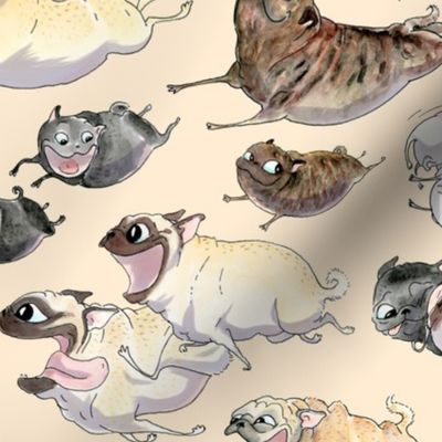 Pugs on the move - oat
