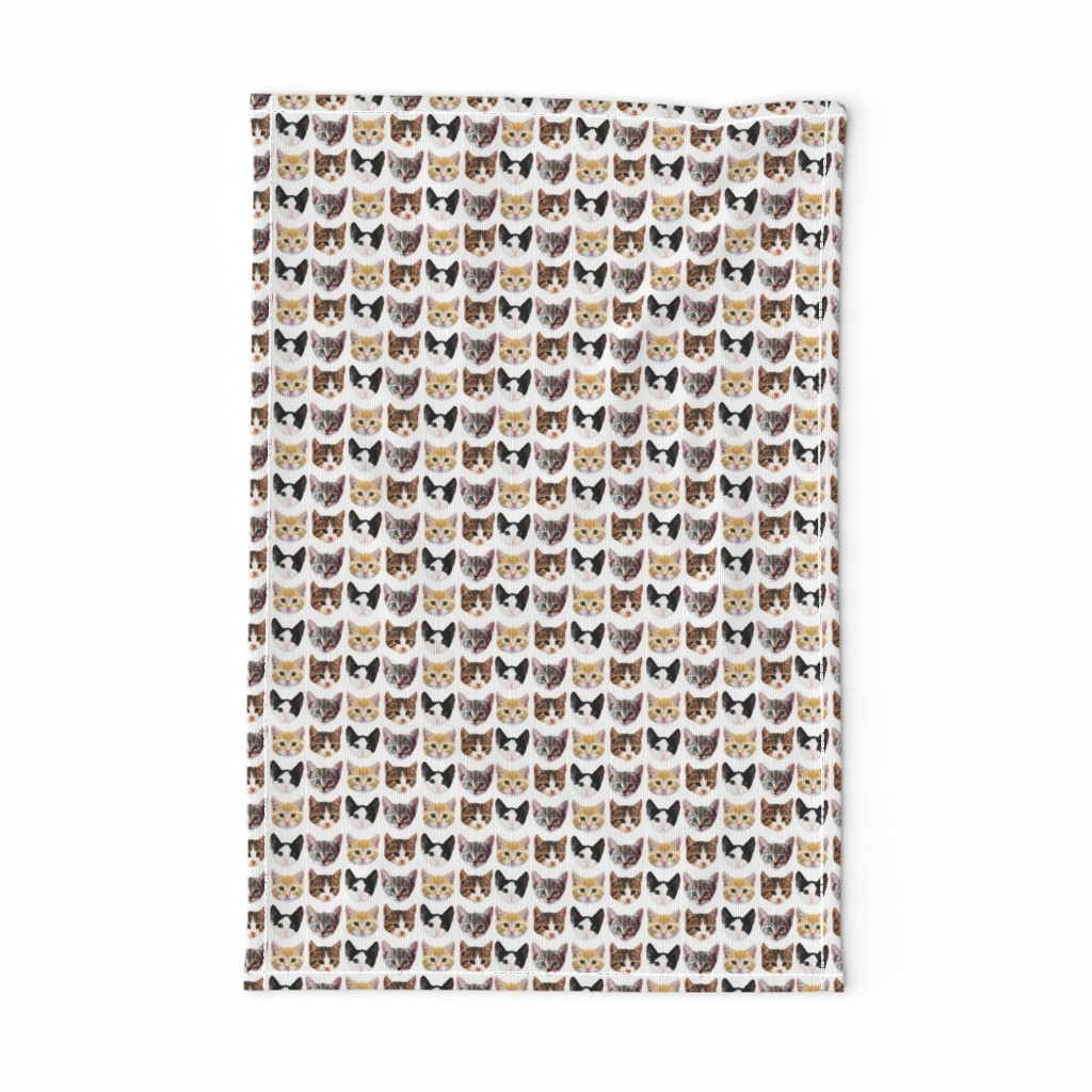 Cat/Kittens Pattern