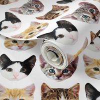 Cat/Kittens Pattern