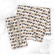 Cat/Kittens Pattern