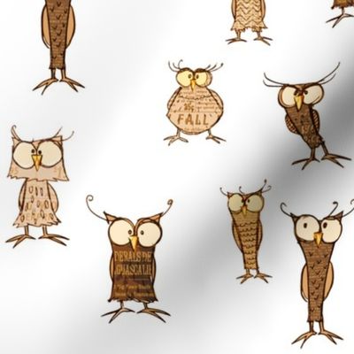 Owl shapes and sizes, scatter