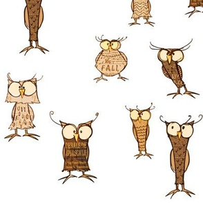 Owl shapes and sizes, scatter