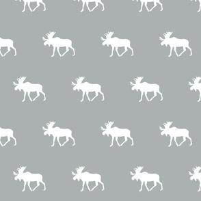 Moose // grey