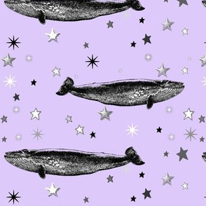 Vintage Star Whale, Black & White Stars on Lavender