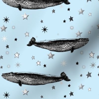 Vintage Star Whale, Black & White Stars on Baby Blue