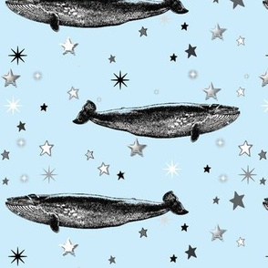 Vintage Star Whale, Black & White Stars on Baby Blue