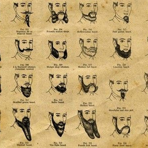 Victorian Beards