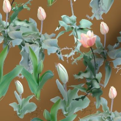 Tulips_on_earth