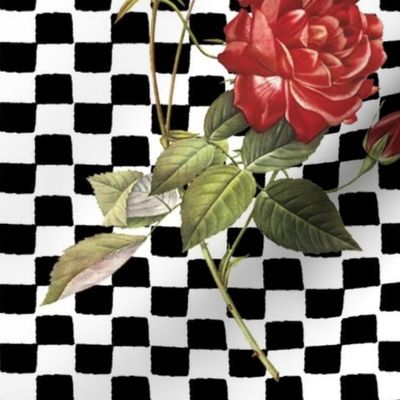 rose_with_a_checkered_past