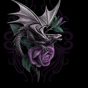 Dragon-Beauty
