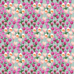 Tulips_on_Mint