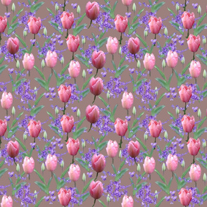Tulips_altrosa