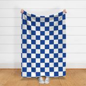 Blue White Checker Pattern