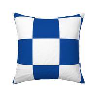 Blue White Checker Pattern