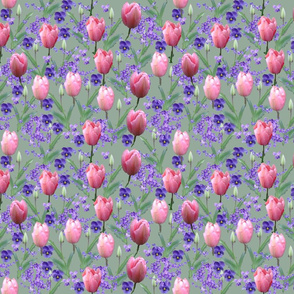 Tulips__pansies_and_violets